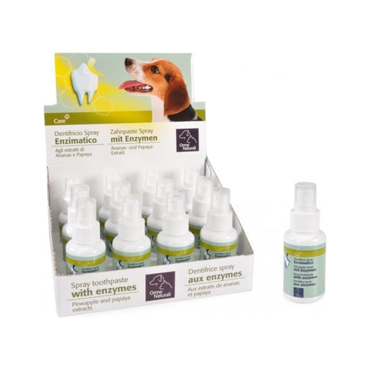 Camon Dentifricio Spray Enzimatico